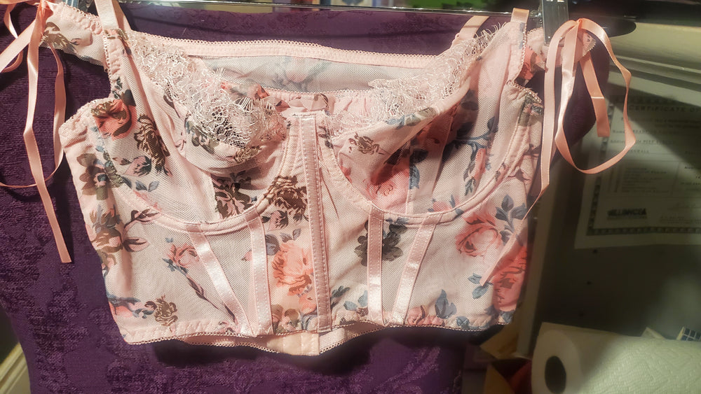 Pink Sheer Floral Cropped Bustier and Thong in Large