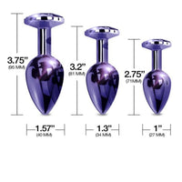 NIXIE Metal Butt Plug Trainer Set in Purple Metallic