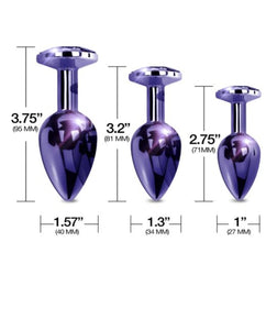 NIXIE Metal Butt Plug Trainer Set in Purple Metallic