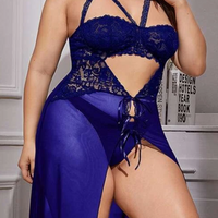 Blue Plus Contrast Lace Cut-out Mesh Dress & Thong