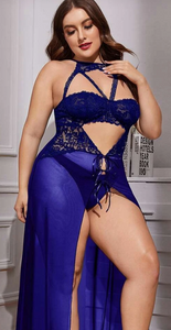 Blue Plus Contrast Lace Cut-out Mesh Dress & Thong